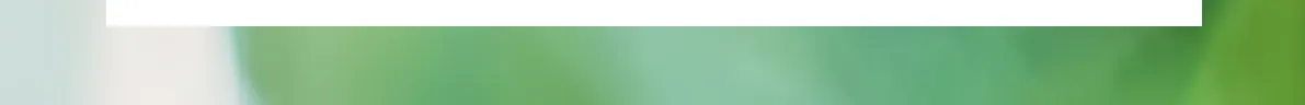 5프리미엄 6 5프리미엄 6